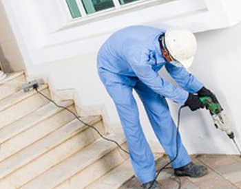 PCIS Pest Control India Pvt Ltd